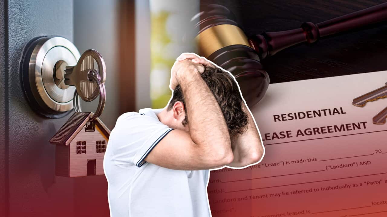 Những dấu hiệu cảnh báo nhà thuê bất ổn và cách người thuê bảo vệ quyền lợi, ngay cả khi không có hợp đồng bằng văn bản. Nguồn hình: Canva/ graphic by Phương Linh
