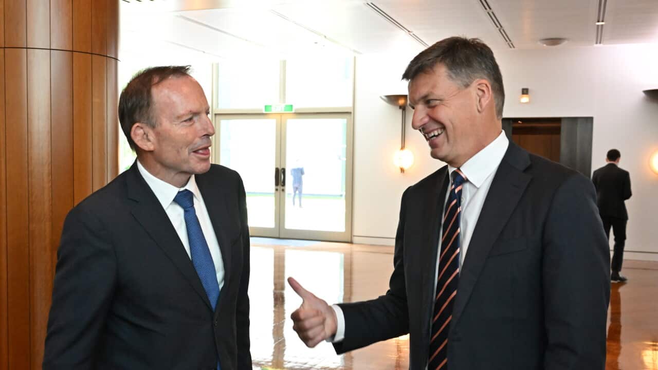 Tony Abbott and Angus Taylor share a laugh while standing in a brightly lit hallway. Both are wearing dark suits.
