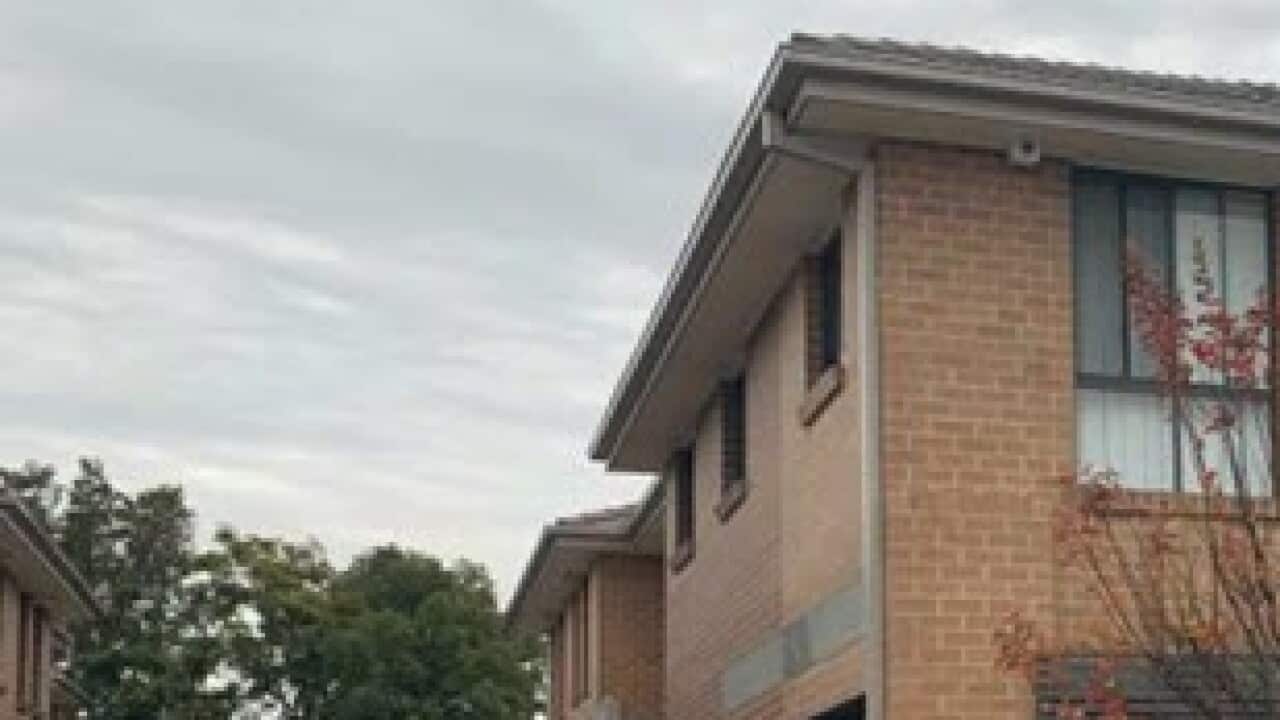 Image for read more article 'READ MORE'