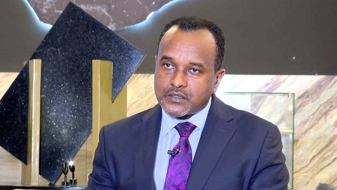 State Minister Million Mathewos.jpg