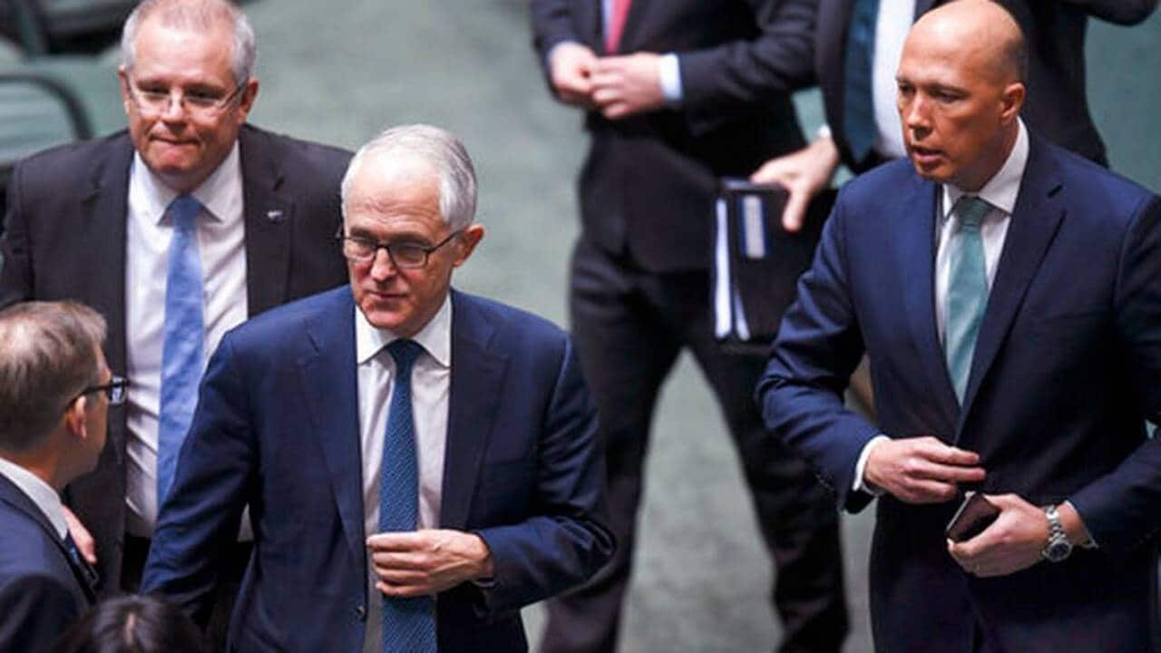 Paul budde on turnbull 2018 crisis