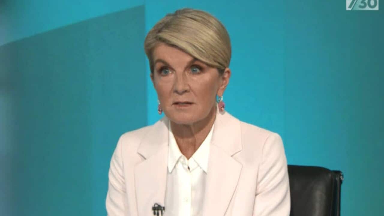Ex-deputy Liberal leader Julie Bishop .