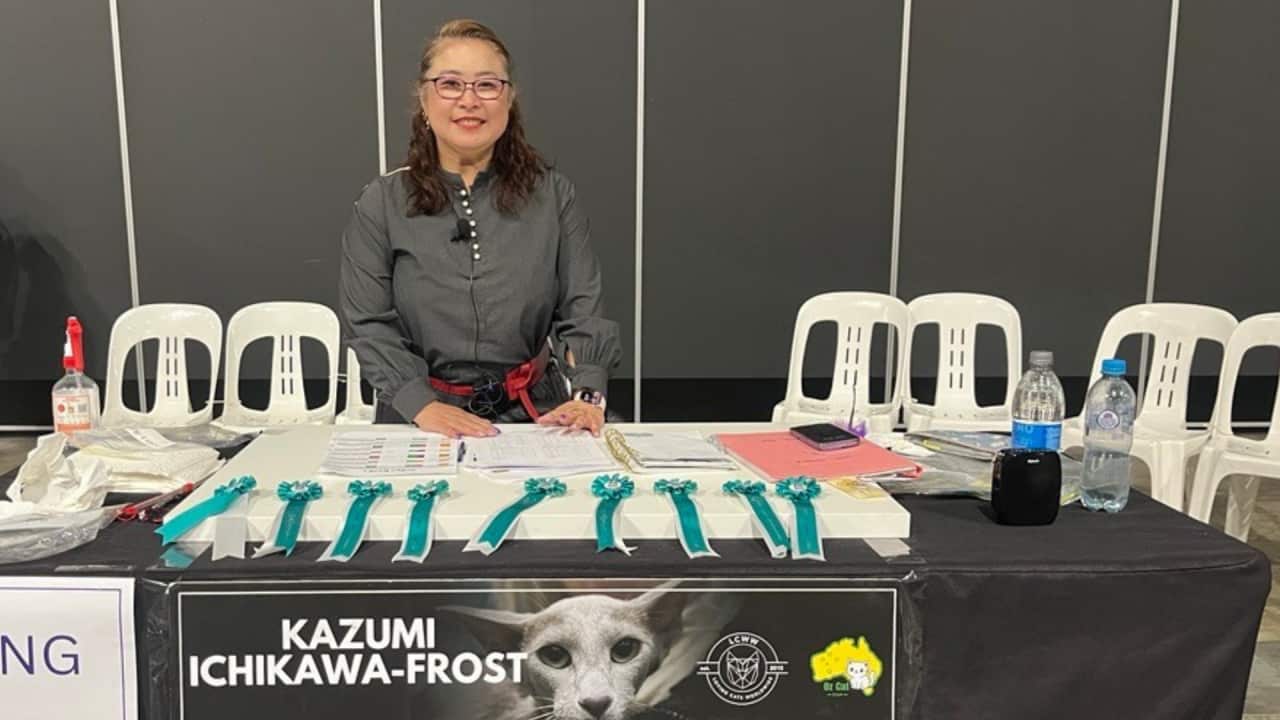 Kazumi Ichikawa Frost.png