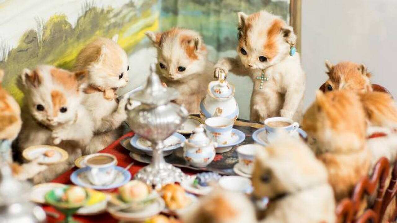 Kittens' Tea and Croquet Party, c. 1890, Walter Potter