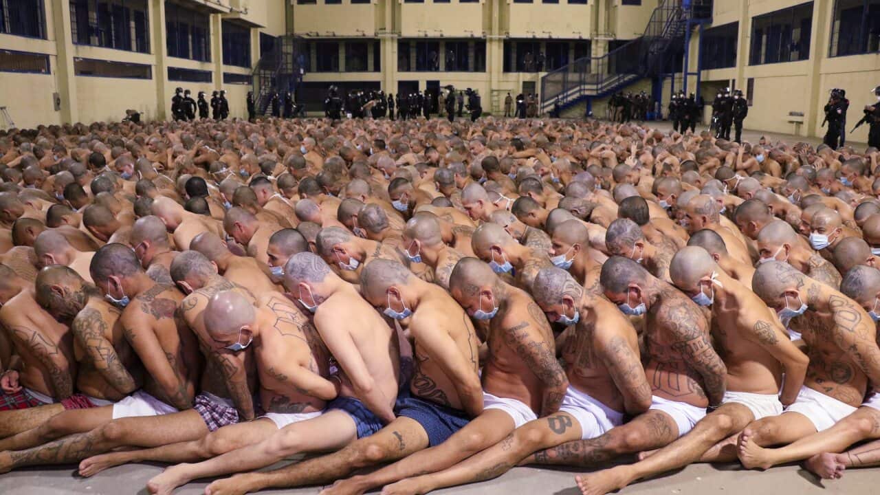 Inmates are lined up during a security operation under the watch of police at the Izalco prison in San Salvador, El Salvador on the weekend.