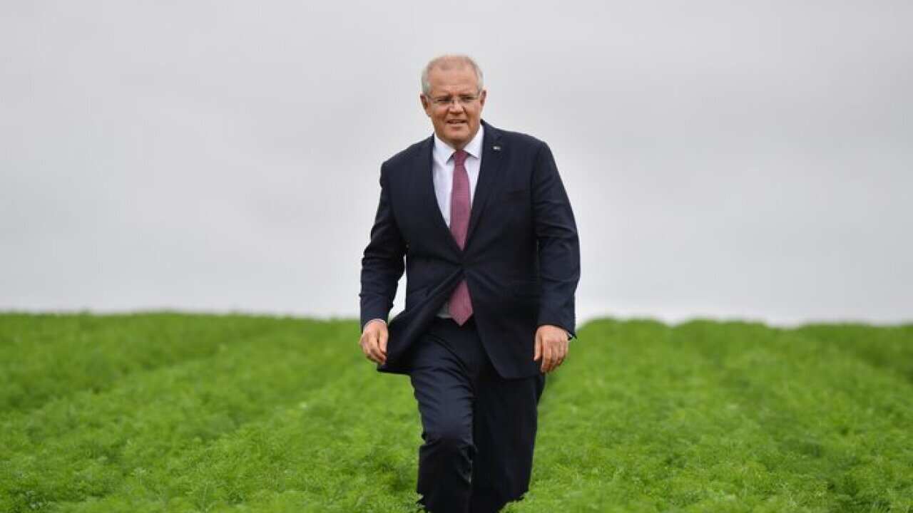 Prime Minister Scott Morrison at a farm near Devonport in Tasmania