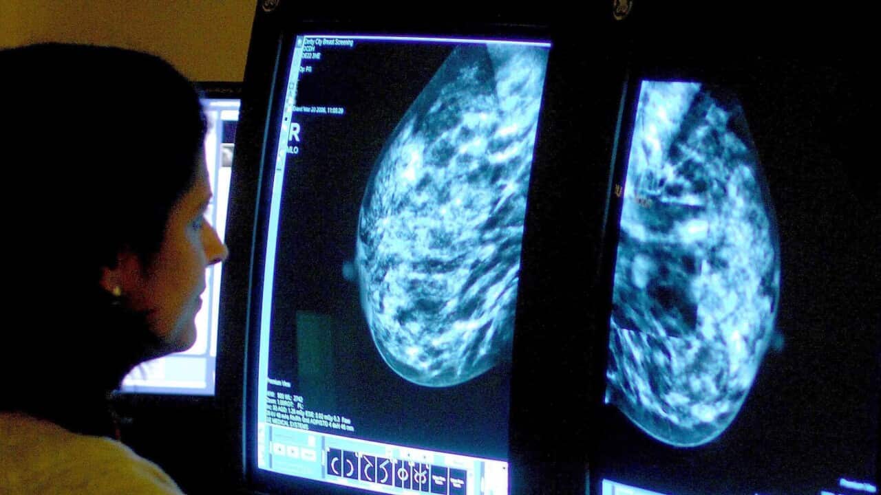 A health worker analyses a mammogram.