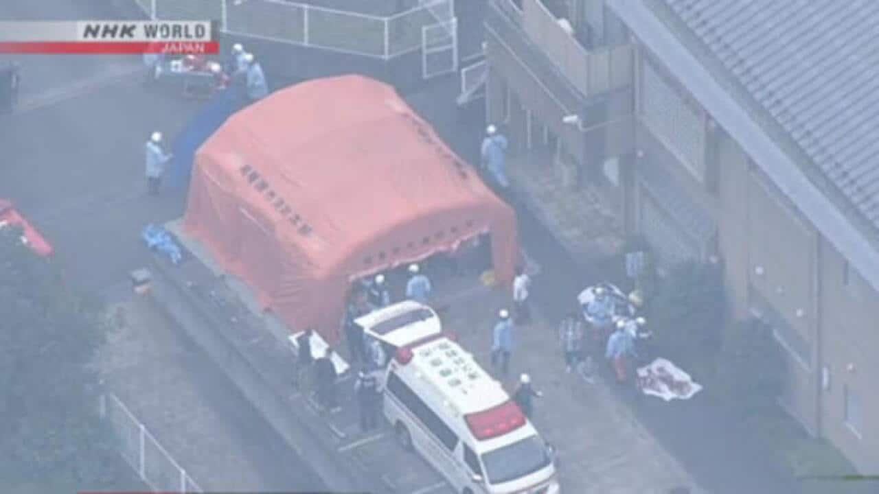A still from a Japanese media report. (NHK)