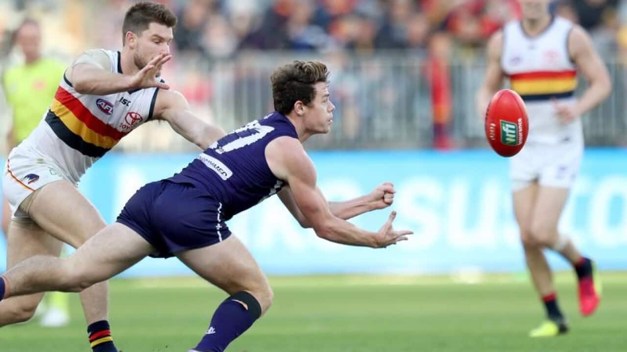 Lachie Neale of the Dockers in action