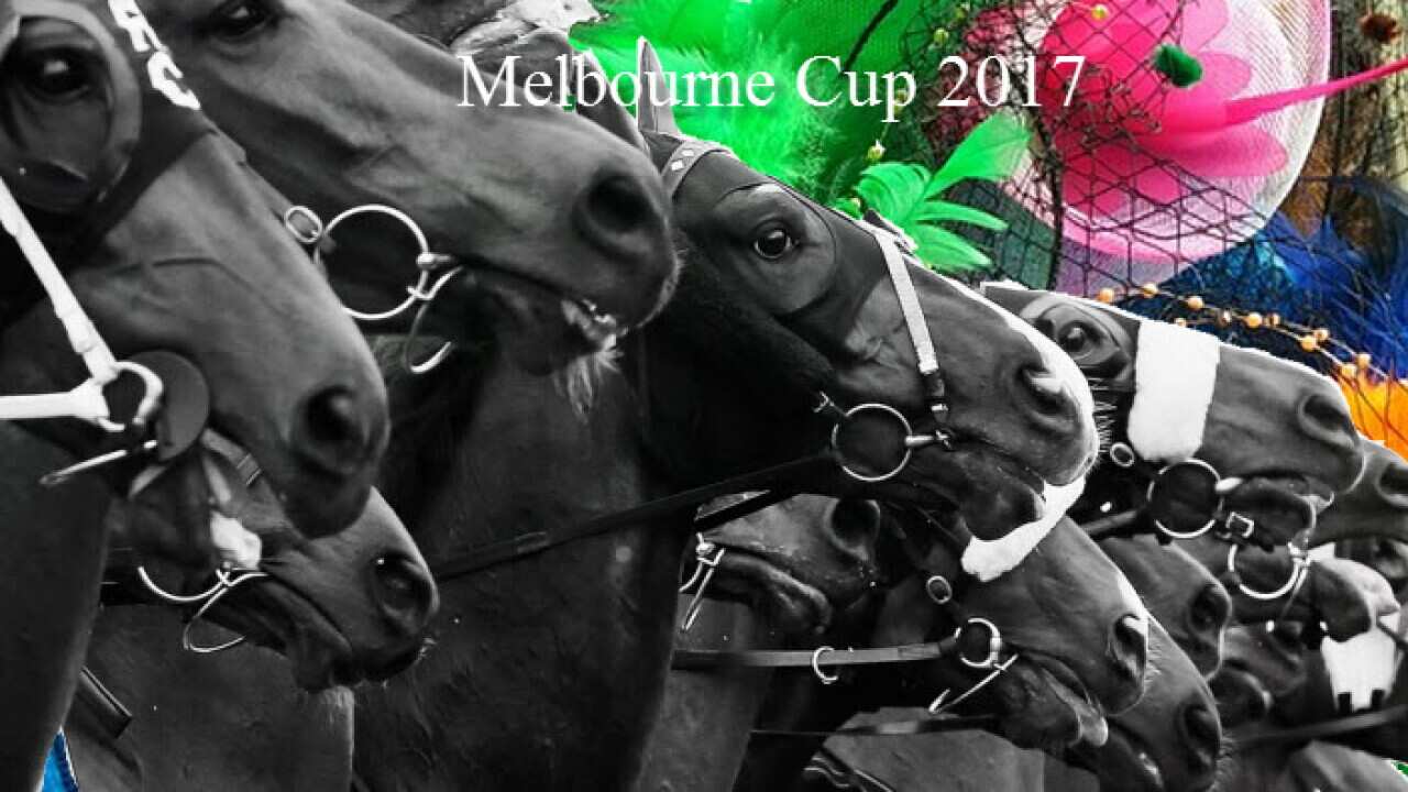 Melbourne Cup 2017