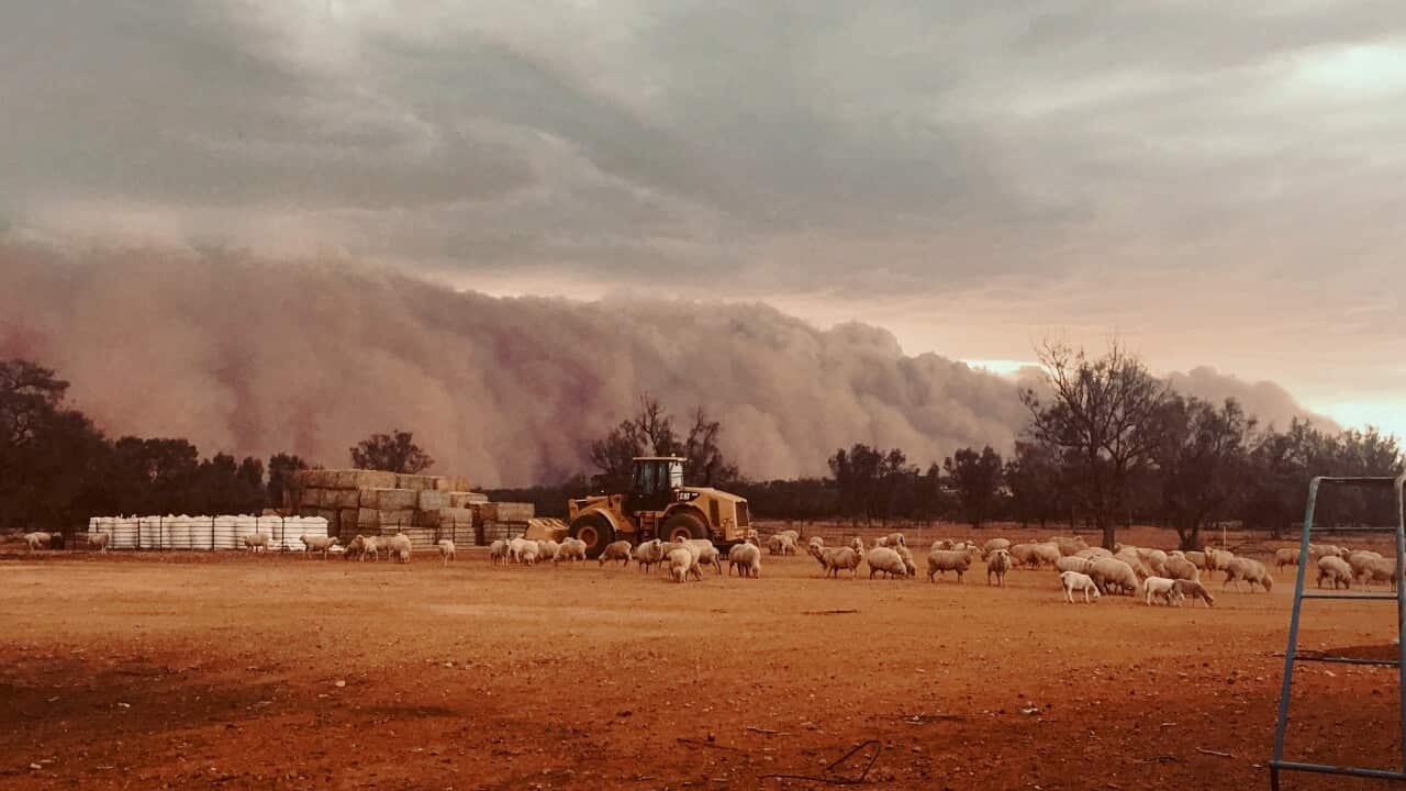 A dust storm sweeps across Western New South Wales in November. (AAP)