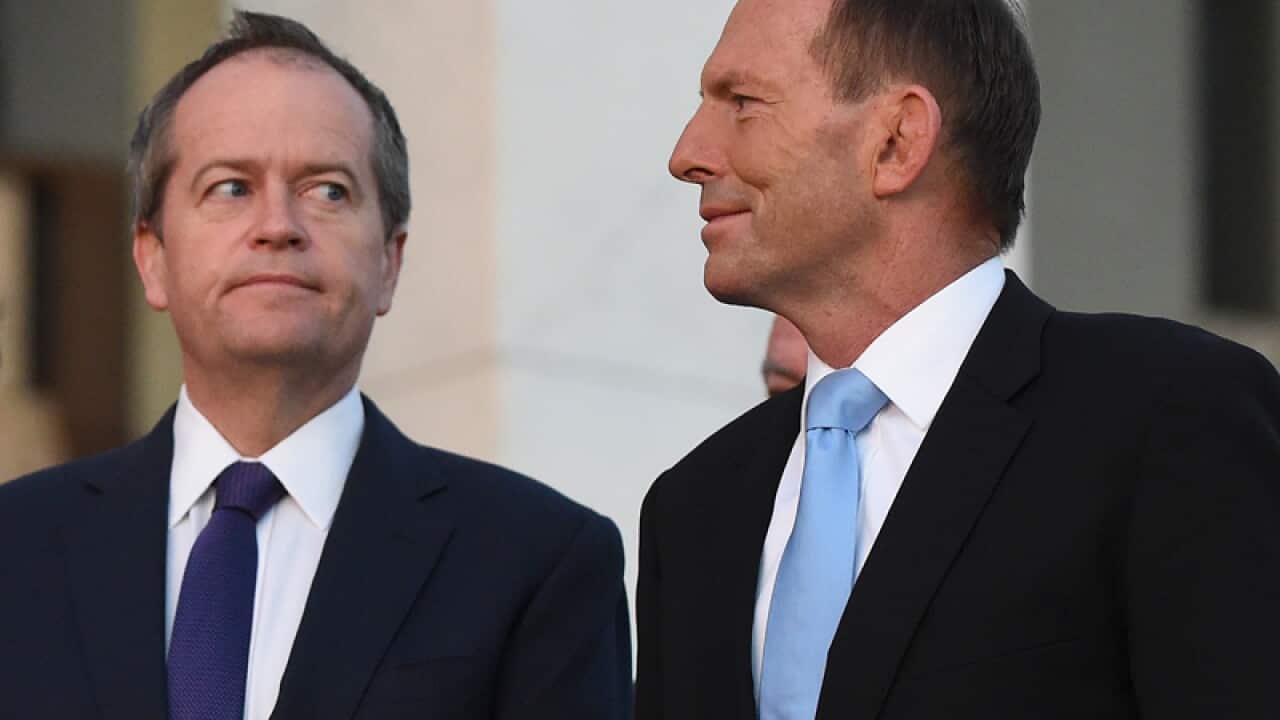 Bill Shorten and Tony Abbott