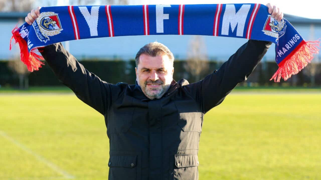 Postecoglou