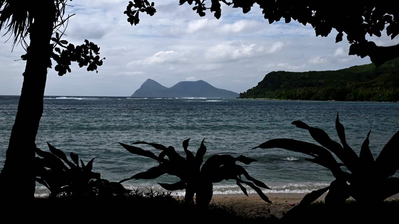 The ocean viewed from the treeline along a beach.
