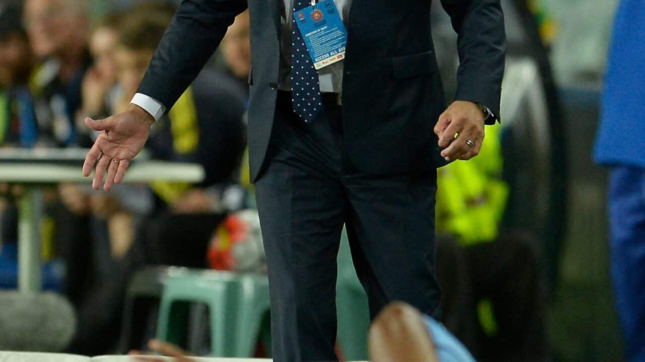 Sydney FC Graham Arnold Wellington Phoenix