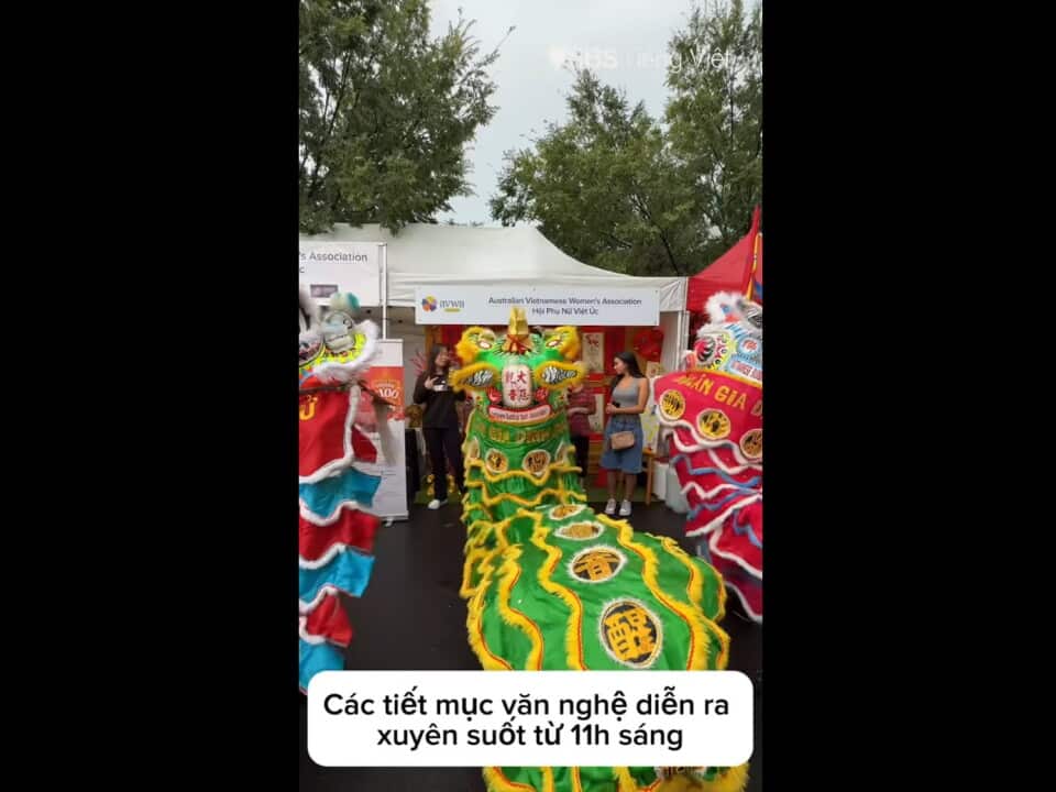 lny vid 1.jpg