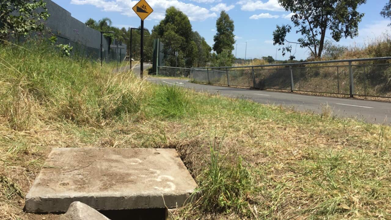 A drain in Sydney's northwest where a newborn baby was found