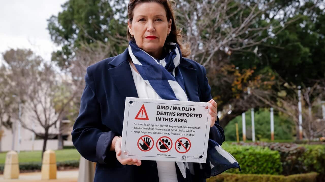 JACKIE JARVIS BIRD FLU PRESSER