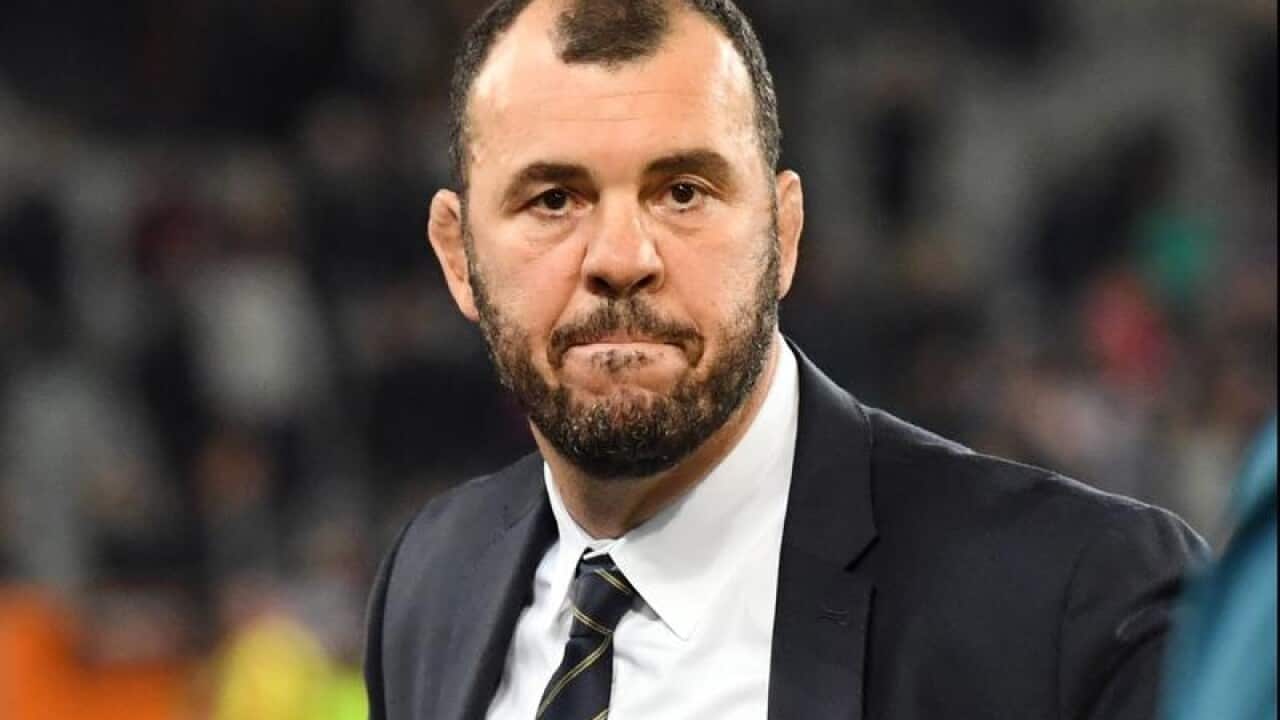 Michael Cheika