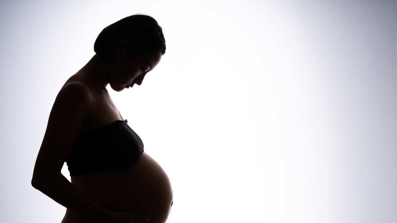 Studio portrait of pregnant woman