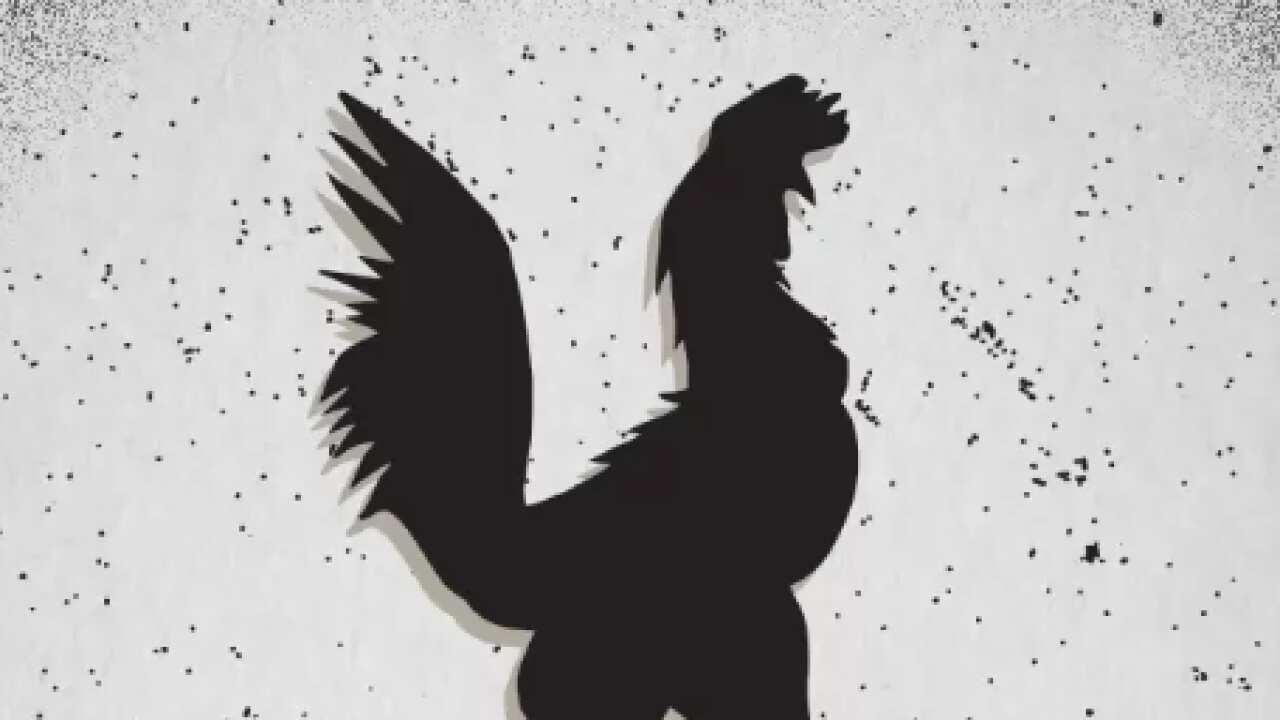 Screenshot (529).png