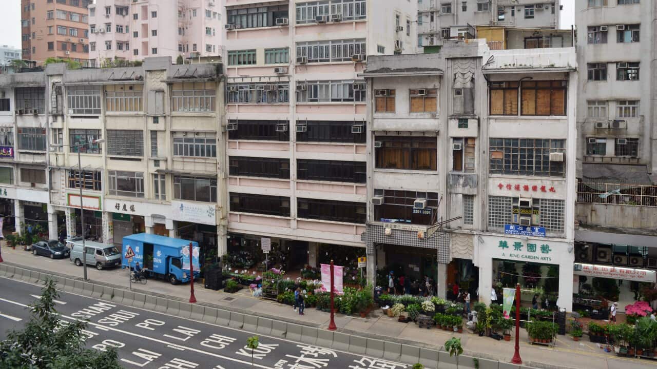 This picture shows buildings in Mong Kok Flower Market (except the pink one in the middle) on Prince Edward Road West where the Urban Redevelopment Authority has a plan to revitalise it. 04APR13