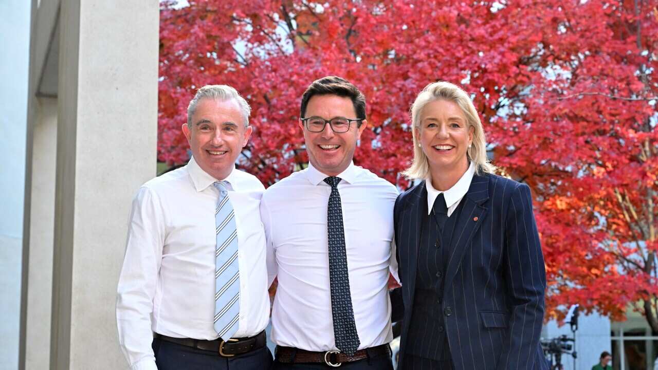 NATIONAL PARTY LEADERSHIP