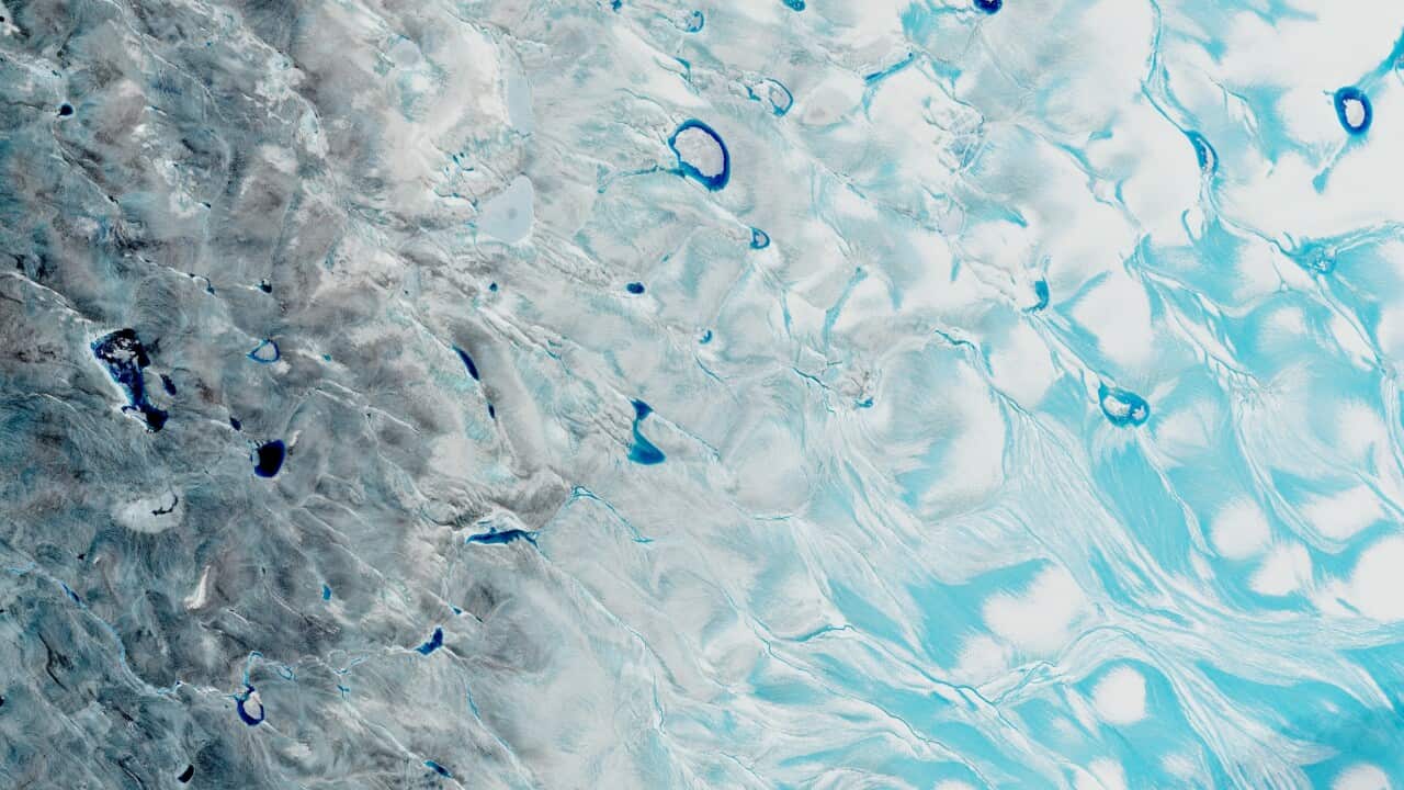 Satellitenbild: Schmelzwasser fliesst auf Grönland