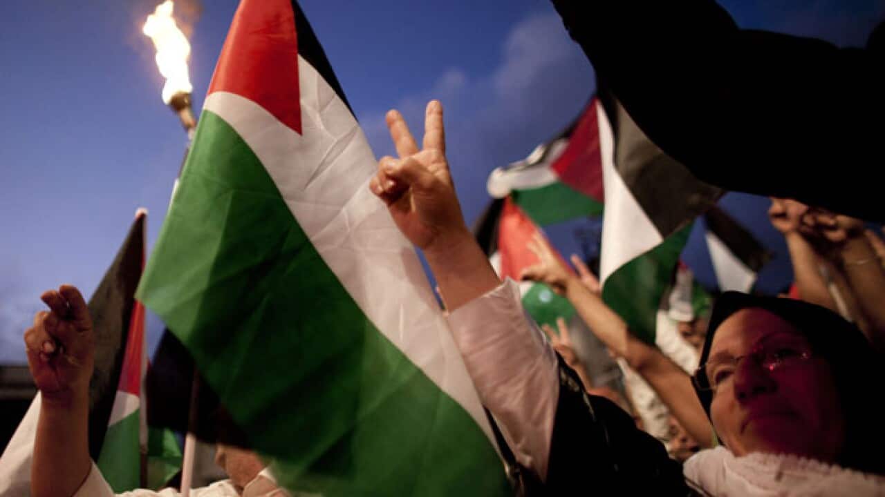 palestine protests