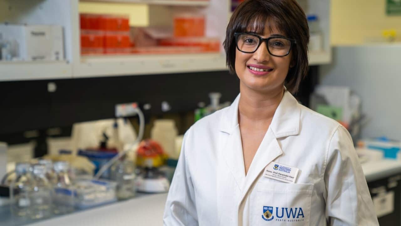 Image for read more article 'ਇਹ ਵੀ ਜਾਣੋ'