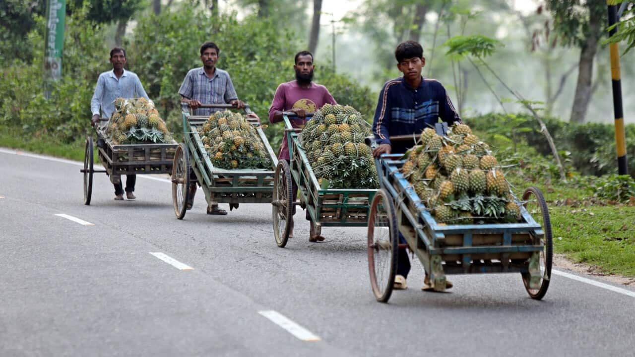 Image for read more article ''