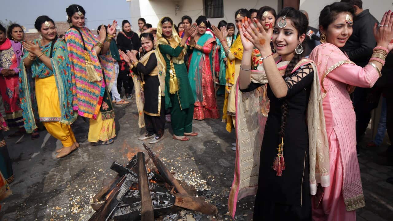 INDIA LOHRI FESTIVAL