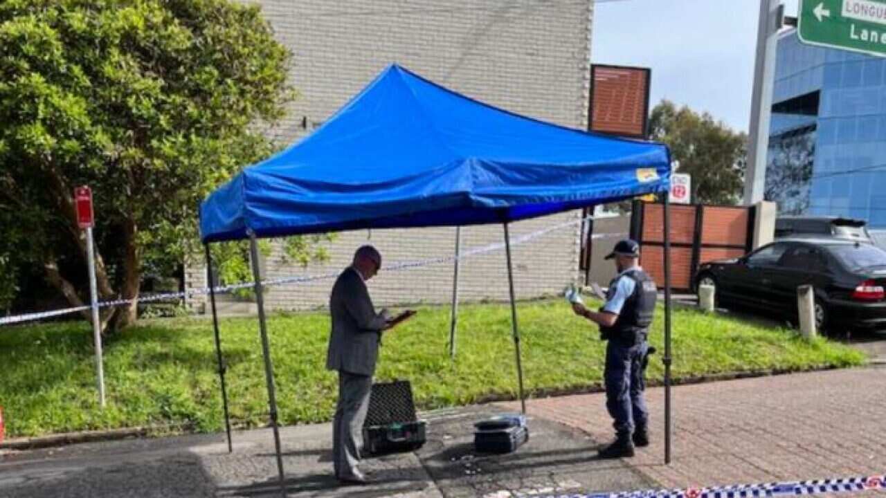 Lane Cove stabbing