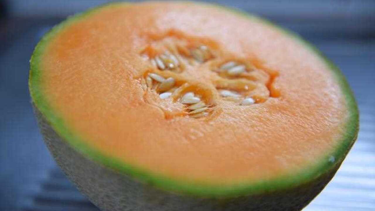 Rockmelon