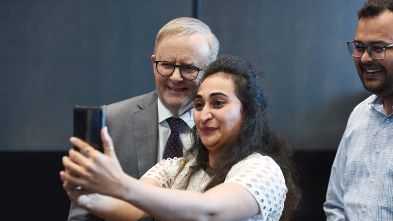 ANTHONY ALBANESE TASMANIA VISIT