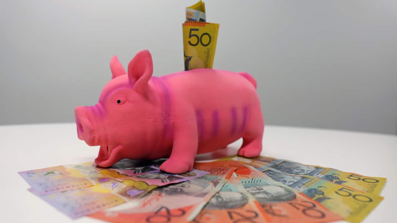 PIGGY BANK STOCK