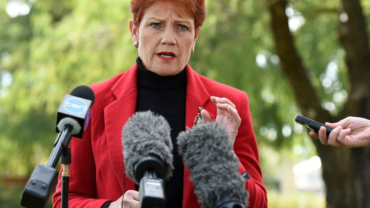 One Nation's Pauline Hanson