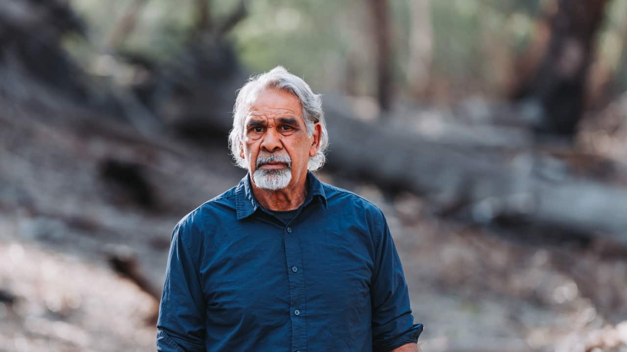 Vince Kirby Nyah Vinifera Forest Victorian Murray Floodplain Restoration Project (VMFRP)