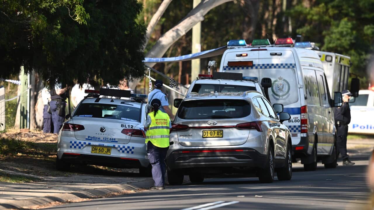 Police cars and a police van close together by the side of a road