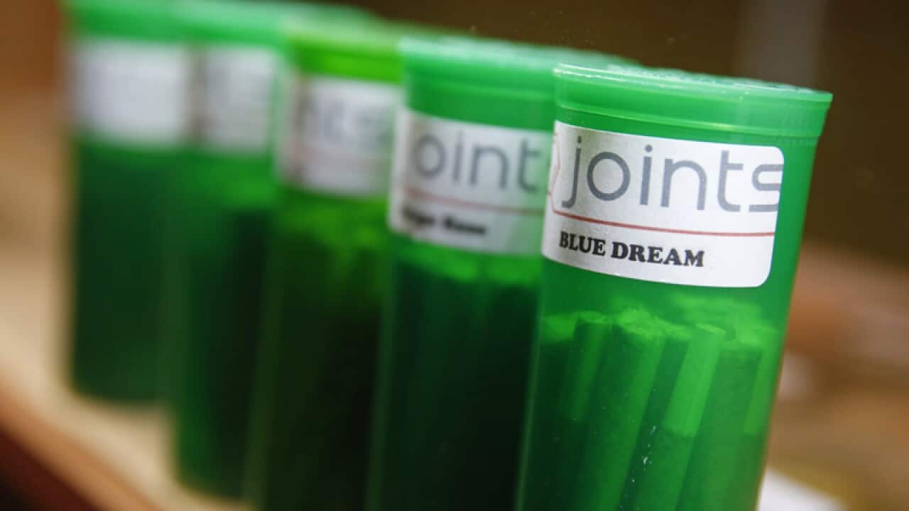 Different strains of marijuana displayed for sale