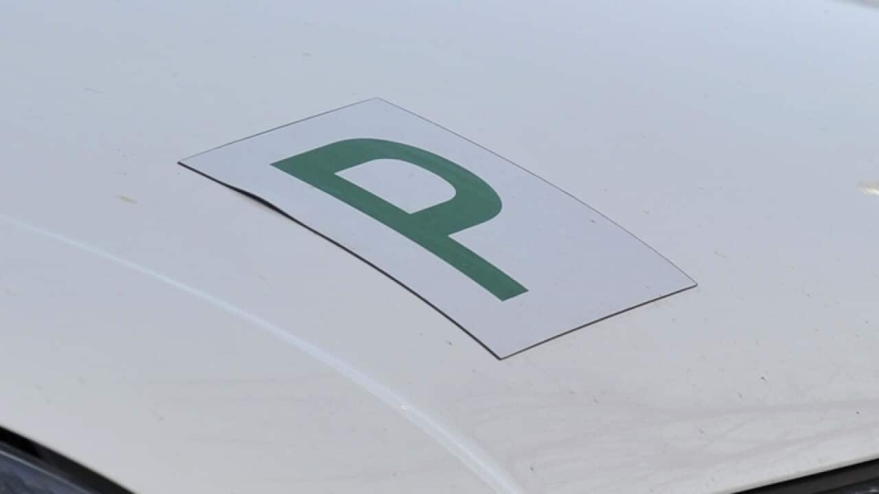 A P-plate on a car