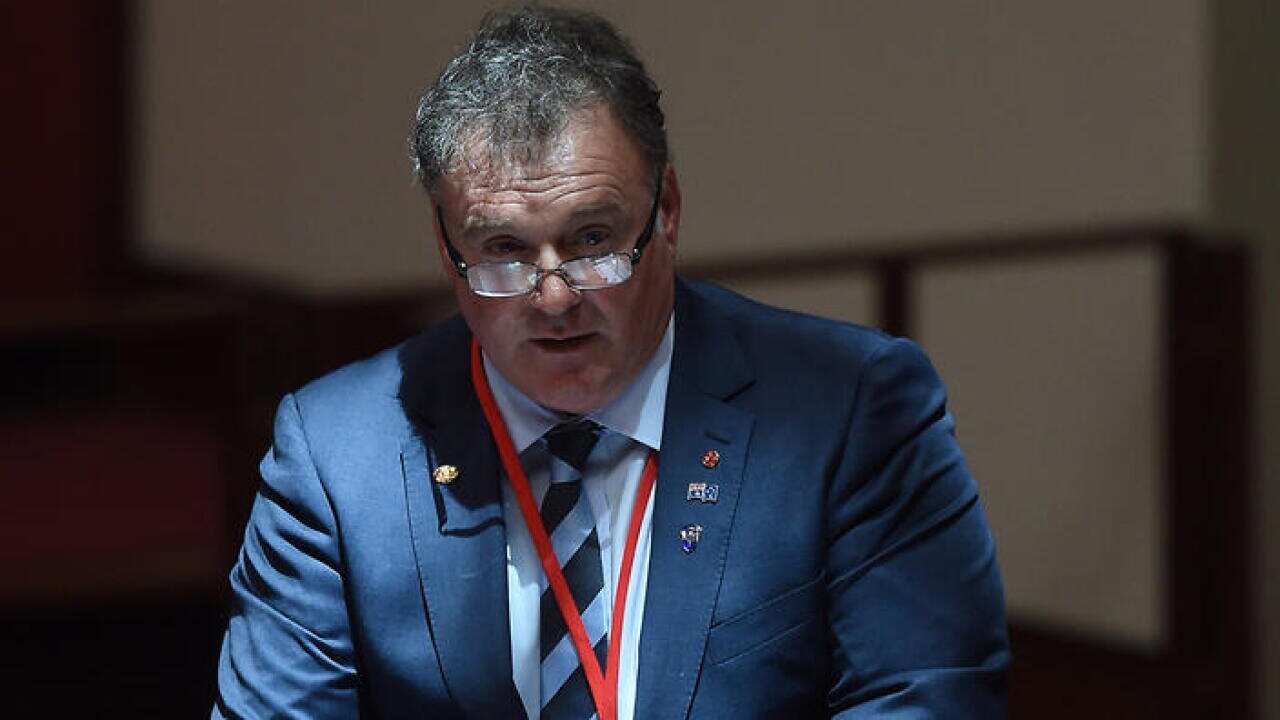 One Nation Senator Rod Culleton speaks during a motion in the Senate chamber at Parliament House in Canberra, Monday, Nov. 7, 2016. (AAP Image/Lukas Coch) NO ARCHIVING