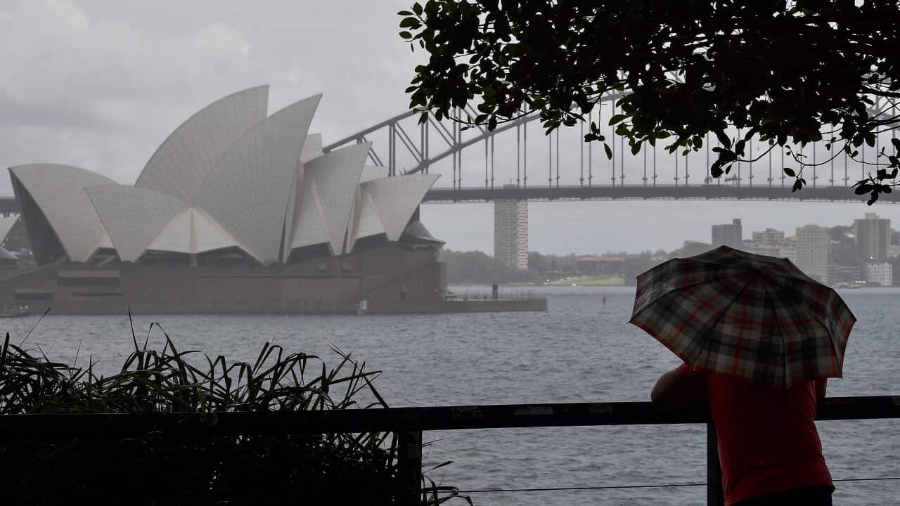 新州受豪雨影響,雪梨有居民遭洪水圍困獲救,道路鐵路交通受阻。
