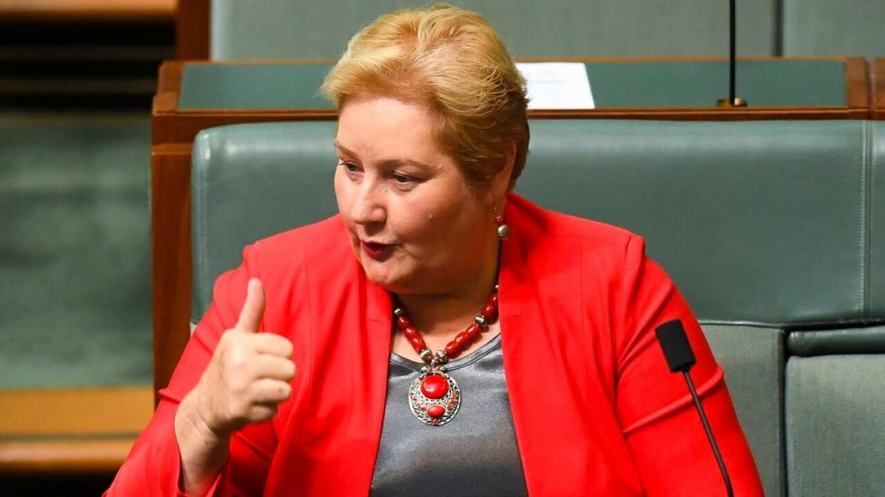 Liberal Member for Gilmore Ann Sudmalis launched a scathing attack on a fellow party members as she outlined the reason for quitting politics.