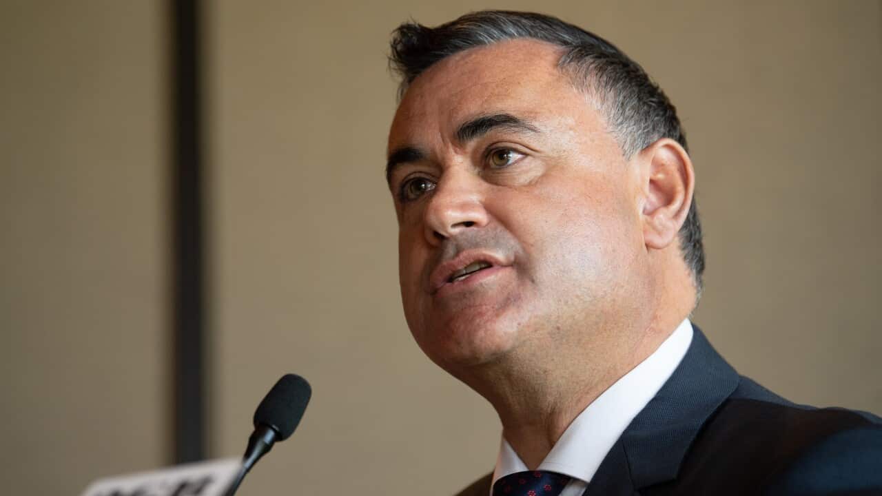 NSW deputy premier and state Nationals leader John Barilaro.