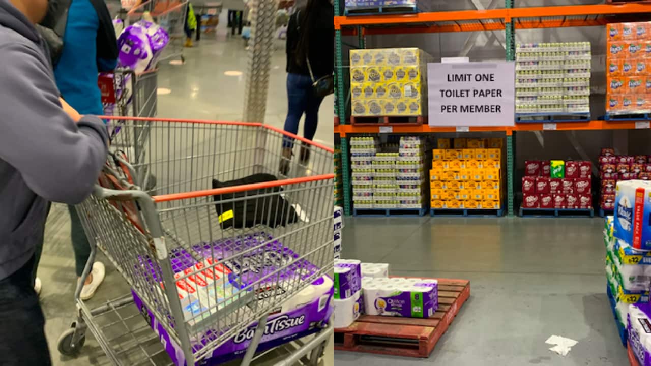 Costco 衛生紙被搶購