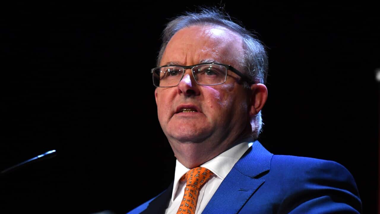 Leader of the Opposition Anthony Albanese at the Daily Telegraph Bush Summit 2019 in Dubbo, 390km north west of Sydney, Thursday, July 18, 2019. (AAP Image/Mick Tsikas) NO ARCHIVING