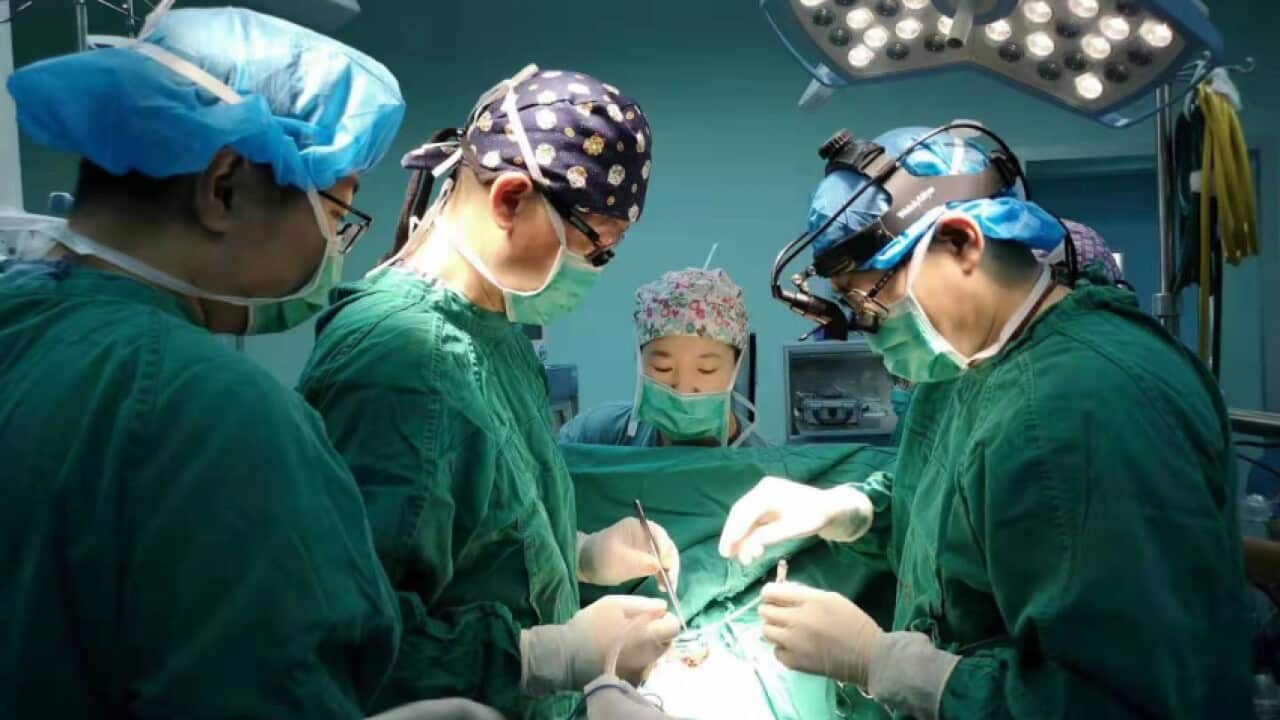 surgery