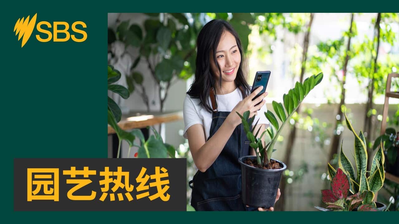 Image for read more article 'READ MORE'