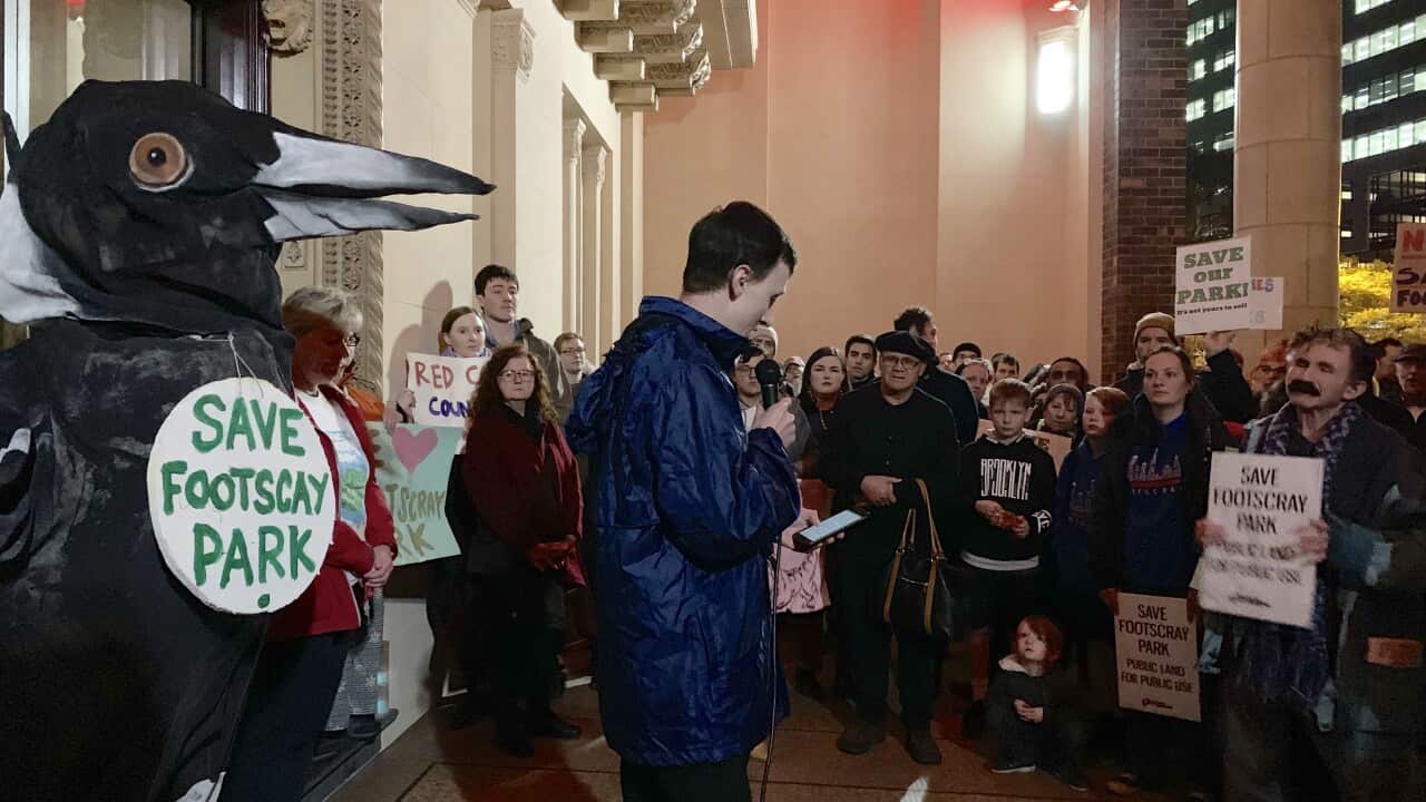 Image for read more article ''